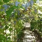 Balaton Art Ferienhaus *